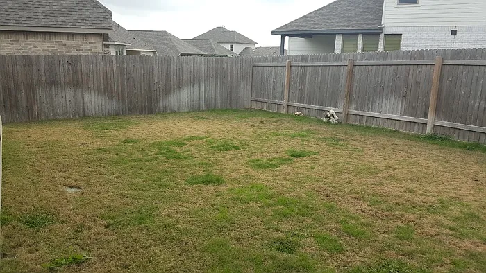 212 Freeman Loop — Photo 19