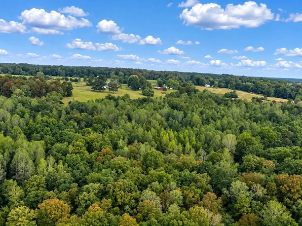 Wallace Ave NE, Fort Payne, AL 35967
