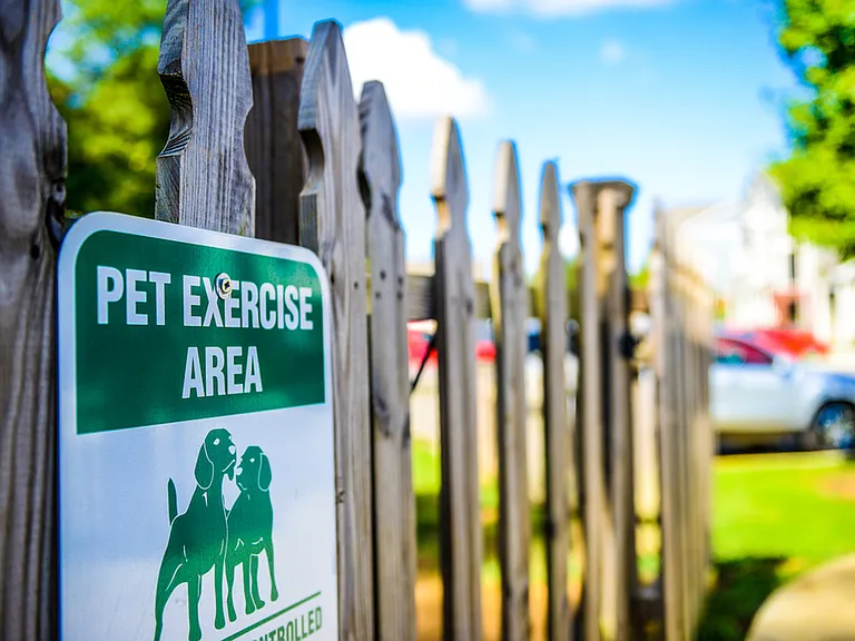 Community bark park.