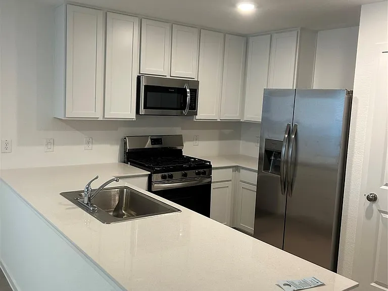 29035 Pearl Barley Way — Photo 9