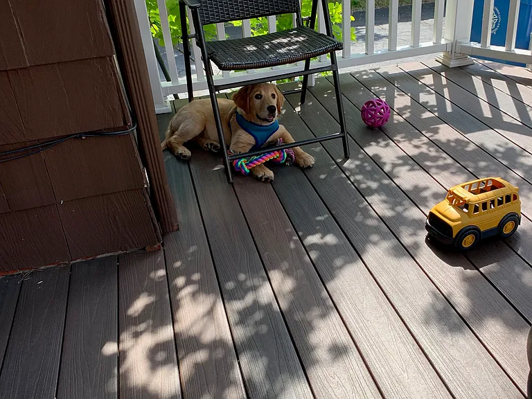 spacious deck (puppy not included)