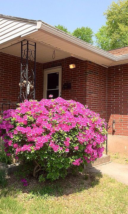 Front in spring