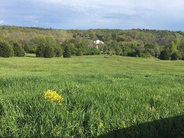 1st image of 601 Forest Oak Dr