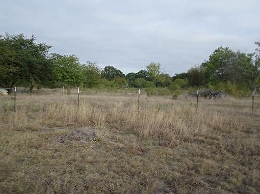4th image of 2490 County Road 195