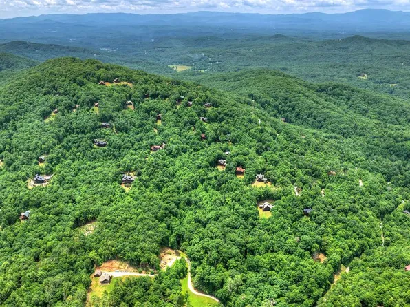 217 Catawba Dr, Mineral Bluff, GA 30559