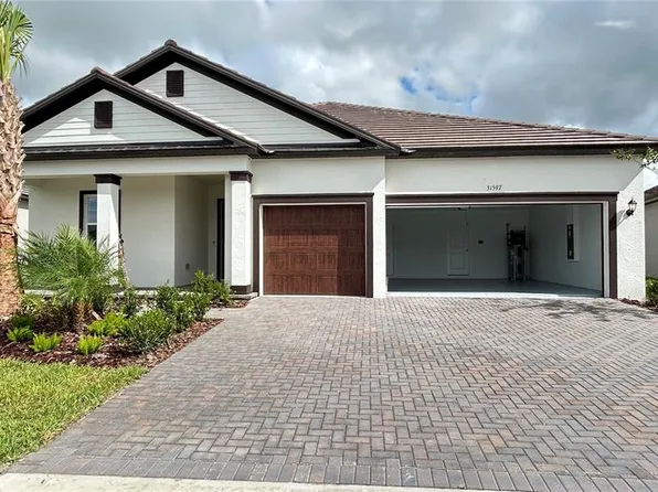 31597 Griffin Sands Ln, San Antonio, FL 33576