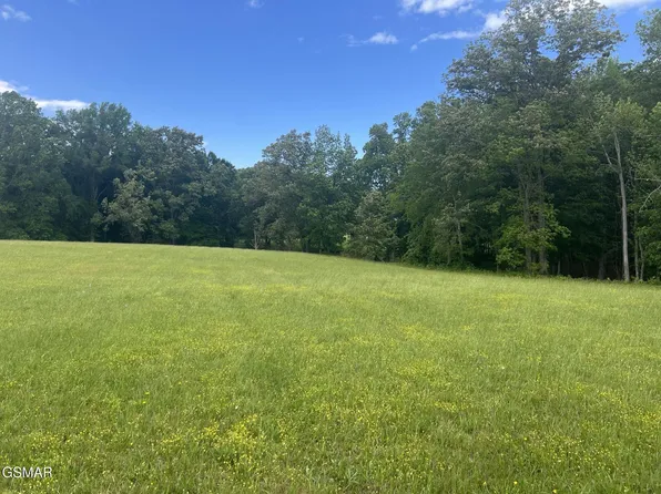 2526 Sunset Blvd Lot 25/26, White Pine, TN 37890