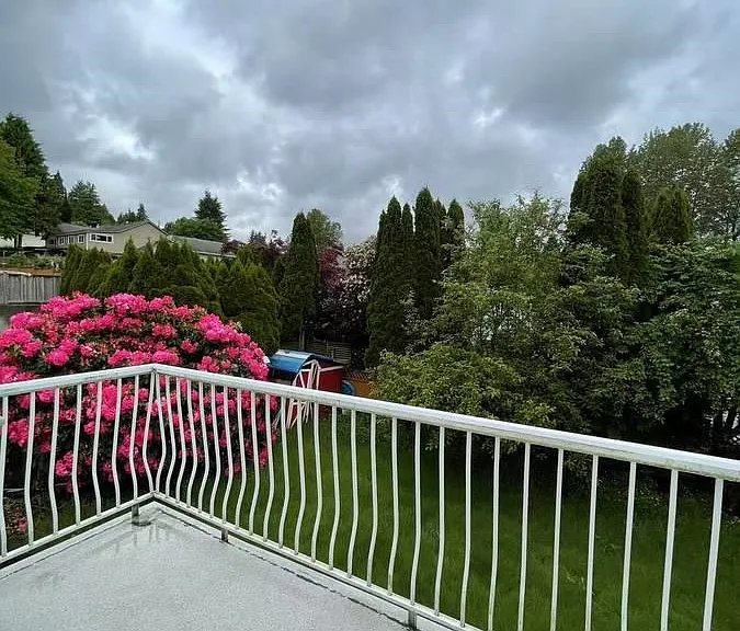 2900 Burton Ct — Photo 19