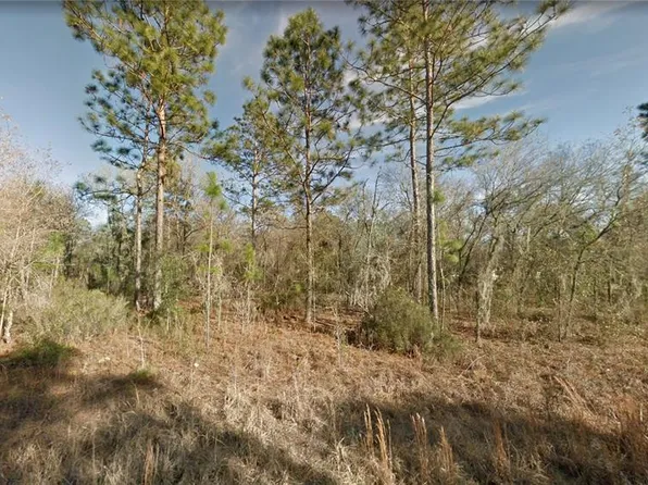 1331 NE 122ND AVENUE LOT 8, WILLISTON, FL 32696