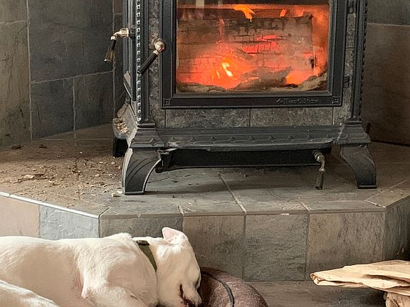 Staying warm by the fire 
