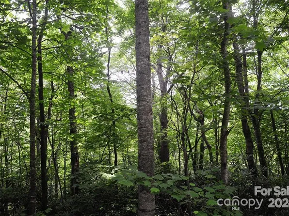 17 Wood Haven Ln #111, Black Mountain, NC 28711