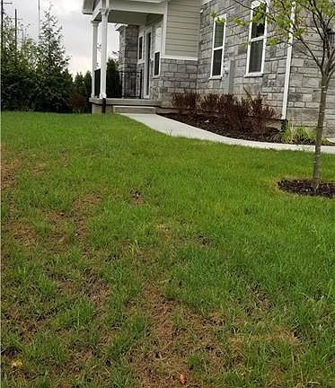 3rd image of 7023 W 162nd Ter