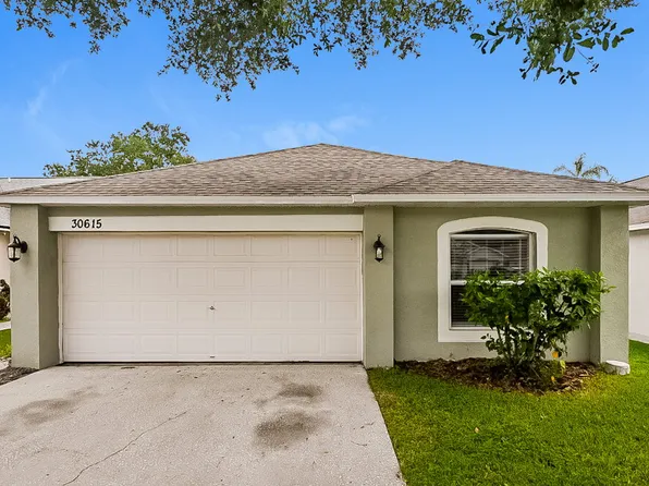 30615 Double Dr, Wesley Chapel, FL 33545