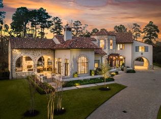 6 Villeroy Way, Spring, TX 77382