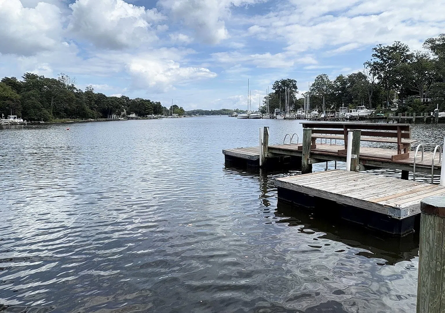 3 bed, 2.0 bath, 1538 sqft, $3,395 — Photo 4