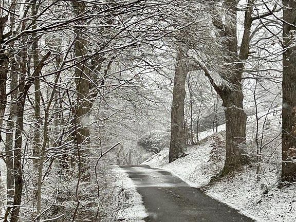 3rd image of 205 Spring Dr