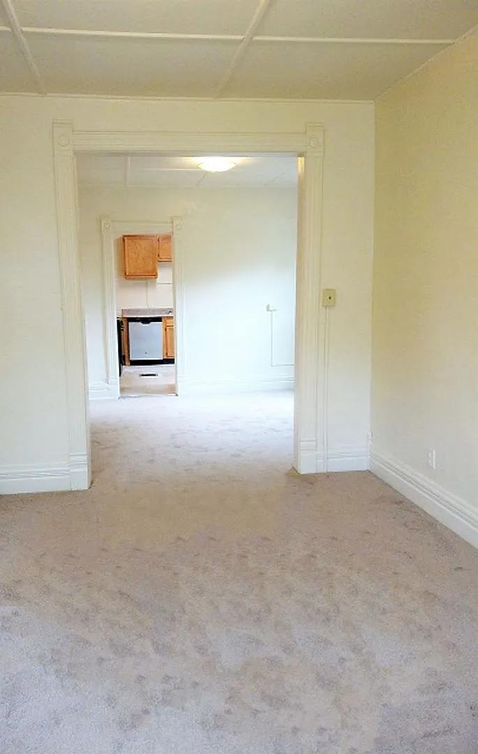 713 S Beech Apt 1 - Available 6/1/27 - First Floor Close To Shops and Restaurants — Photo 4