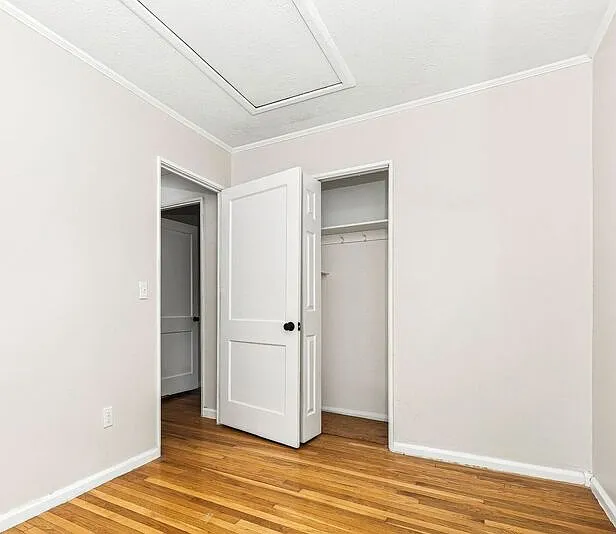 1011 Mount Joy St #1011 — Photo 8