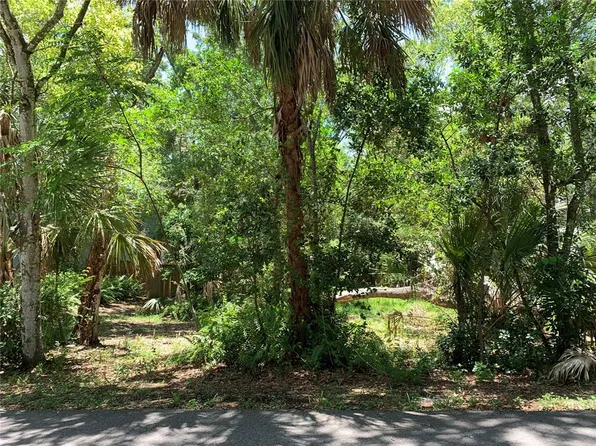 Center Avenue Lot #10, Tarpon Springs, FL 34689