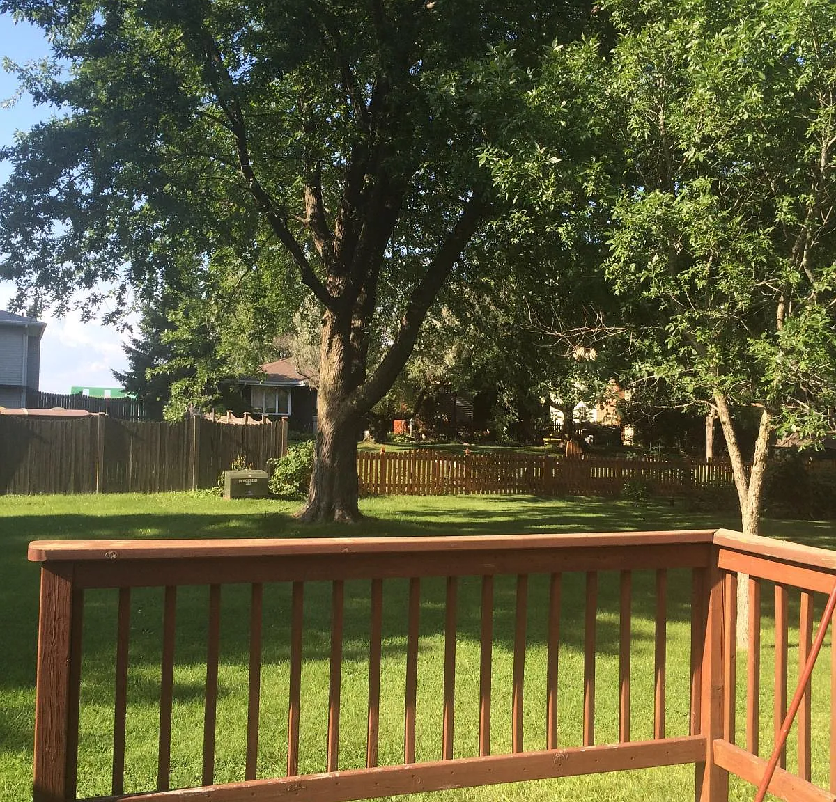 3 bed, 1630 sqft, $2,700 — Photo 2