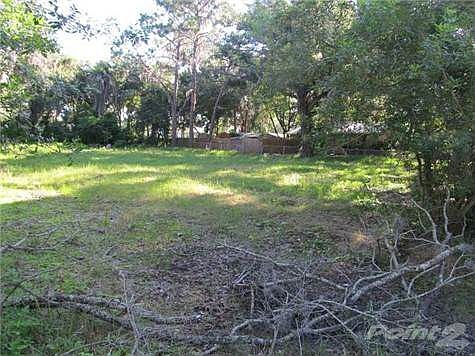 2nd image of 2206 Colony Ct