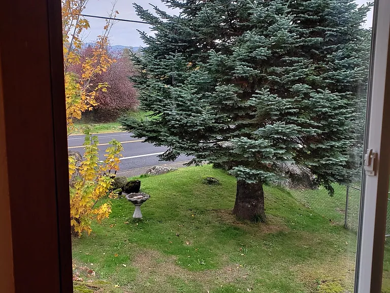 view from front bedroom