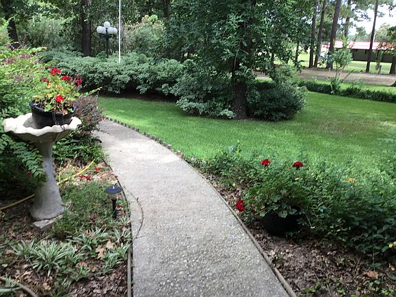 Mature Garden walkway
