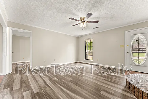 4585 Berrypick Ln S Photo 1