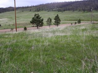 1191 Eiger Rd, Livermore, CO 80536