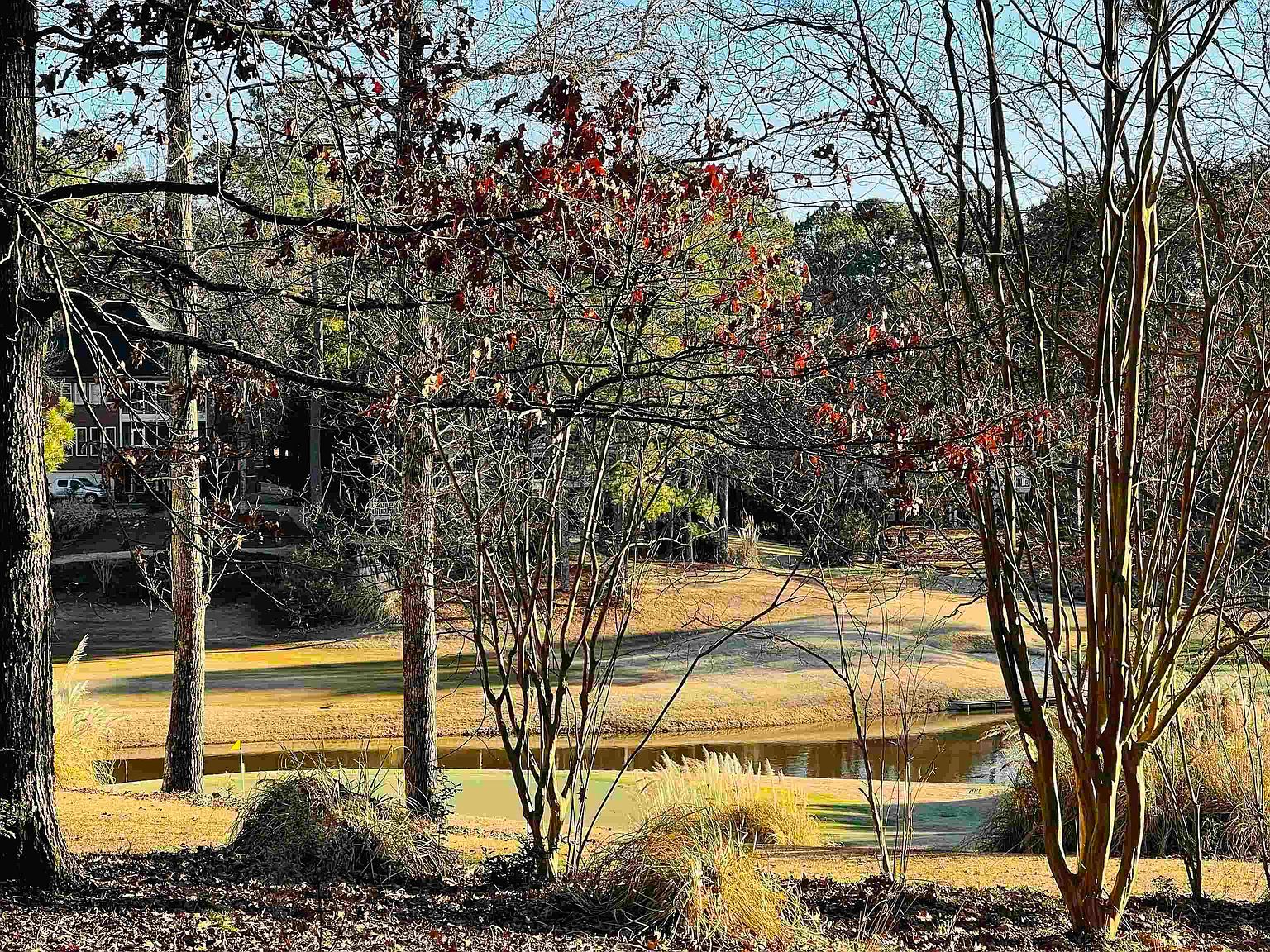 1010 Emerald View Dr LOT 23