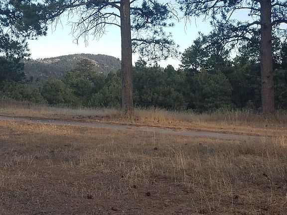 Mt Falcon Park (in distance)
