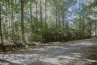 2nd image of 1672 Campbell Rd