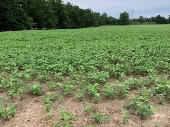 104 Fostertown Rd, Lumberton, NJ 08048