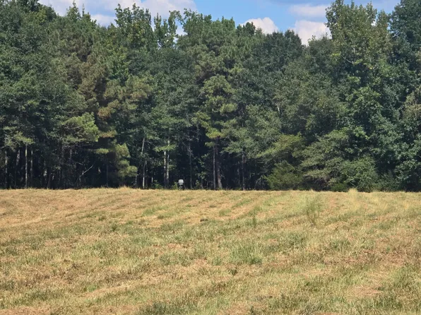 0 Wesley Chapel Rd, Kennedy, AL 35574