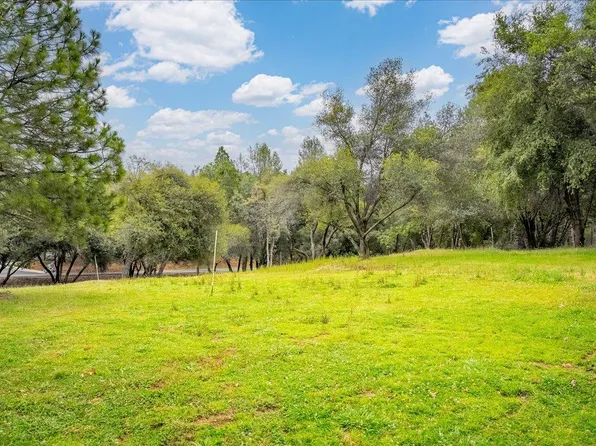 10 Hollow Ln, Greenwood, CA 95635
