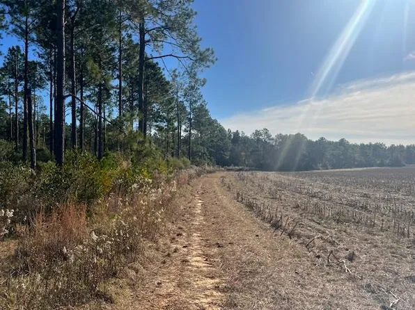 0 Tulip Rd, Rebecca, GA 31783