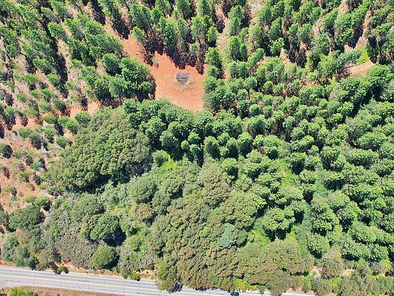 5th image of 9652 Marysville Rd