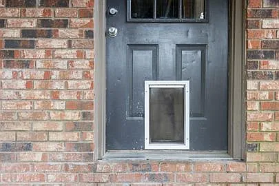2333 Gingko Dr — Photo 3