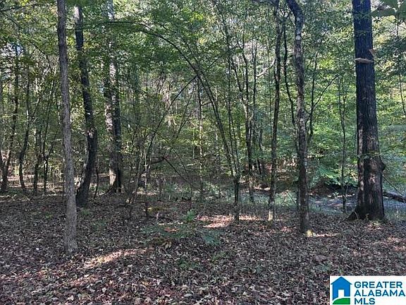 3rd image of 2479 Parsons Loop Rd #0