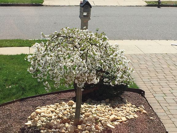 Photo from 2018, 732-307-339