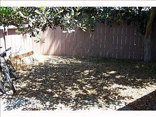4th image of 4465 Arendo Dr