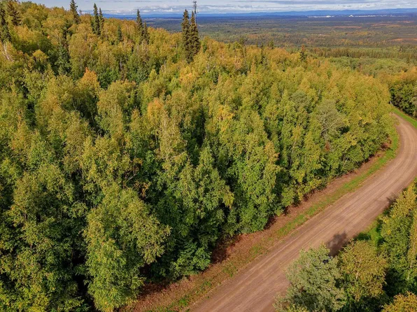 Nhn Old Site Rd, Salcha, AK 99714