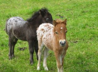 7140 Meadowlark #STUDIO, Chagrin Falls, OH 44022