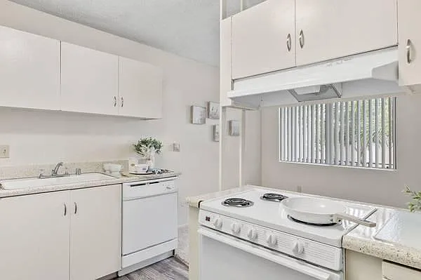 Dorchester Apartments — Photo 7