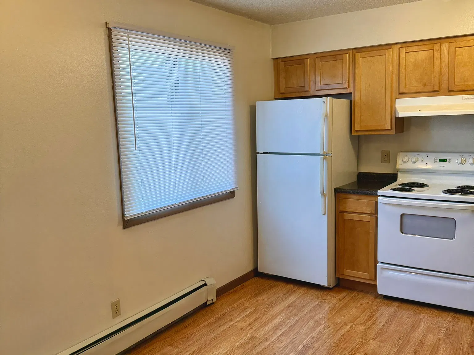2 bed, $1,216 — Photo 3