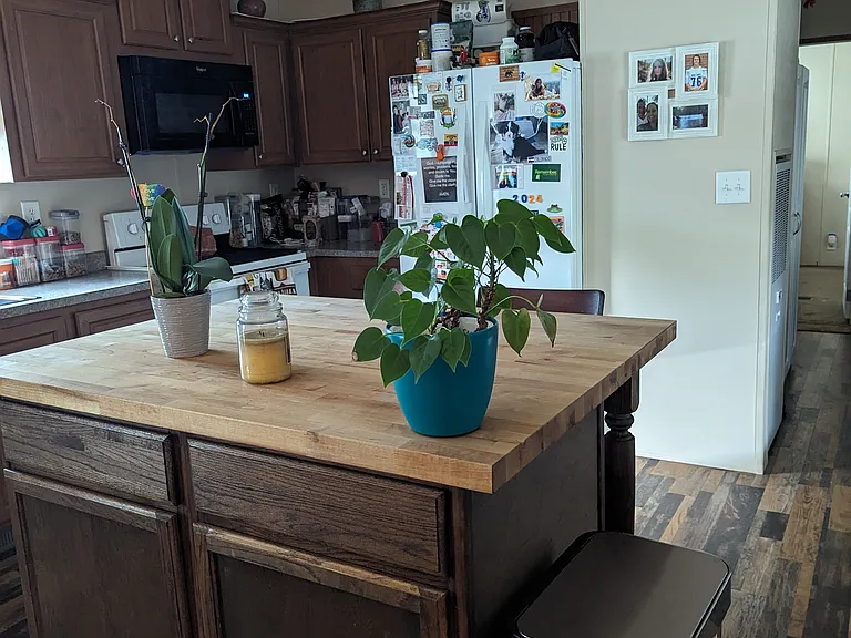 24 Blue Spruce Ln — Photo 9
