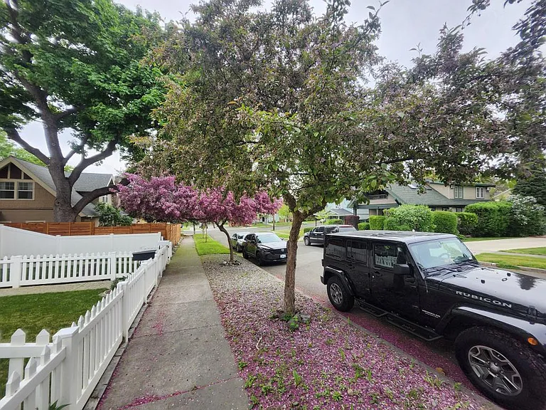 1619 W 13th Ave — Photo 3