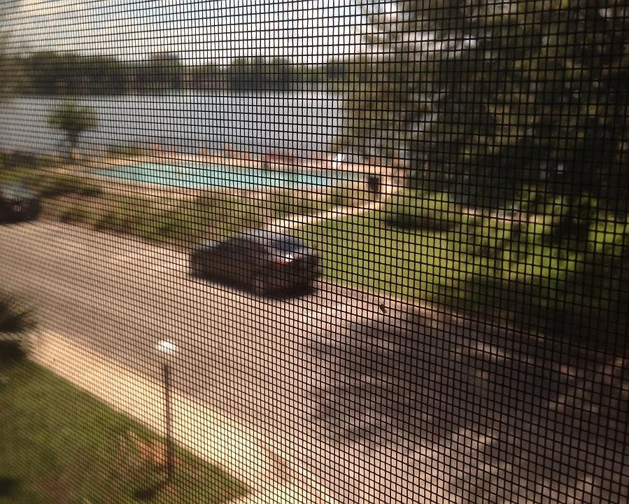 Your view!