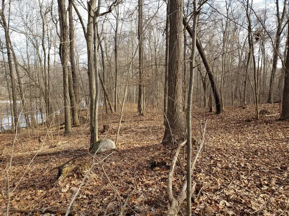 Summit Dr, Delton, MI 49046