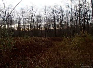 7080 High Mdws, Ellicottville, NY 14731